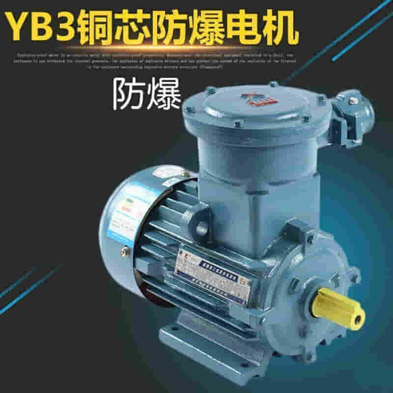 隔爆型三相异步电机 YB160L-4 380v