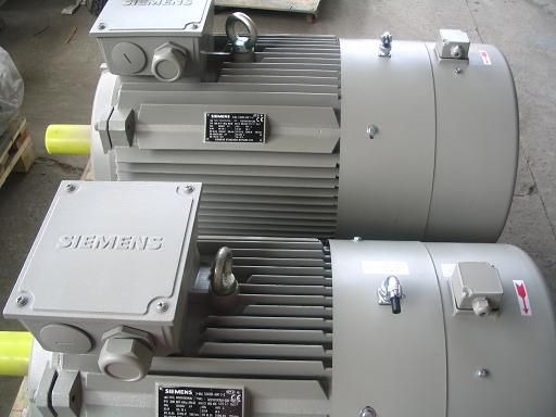 电机_西门子_1LE1001-1DB42-2AA4_15KW_LR08