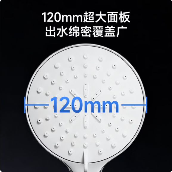 箭牌（ARROW）AE58112箭牌（ARROW）淋浴花洒头喷头洗浴淋雨卫浴大花